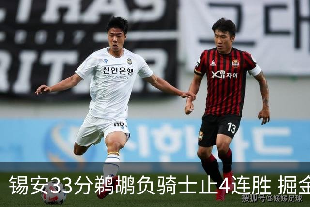锡安33分鹈鹕负骑士止4连胜 掘金送热火4连败